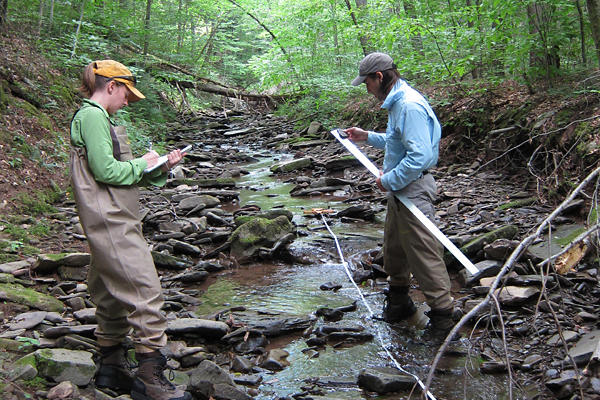 Academy watershed grant
